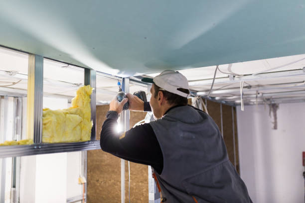 Reliable Palisade, CO Insulation Contractor Solutions