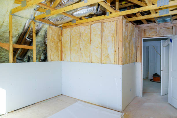 Insulation Inspection Services in Palisade, CO